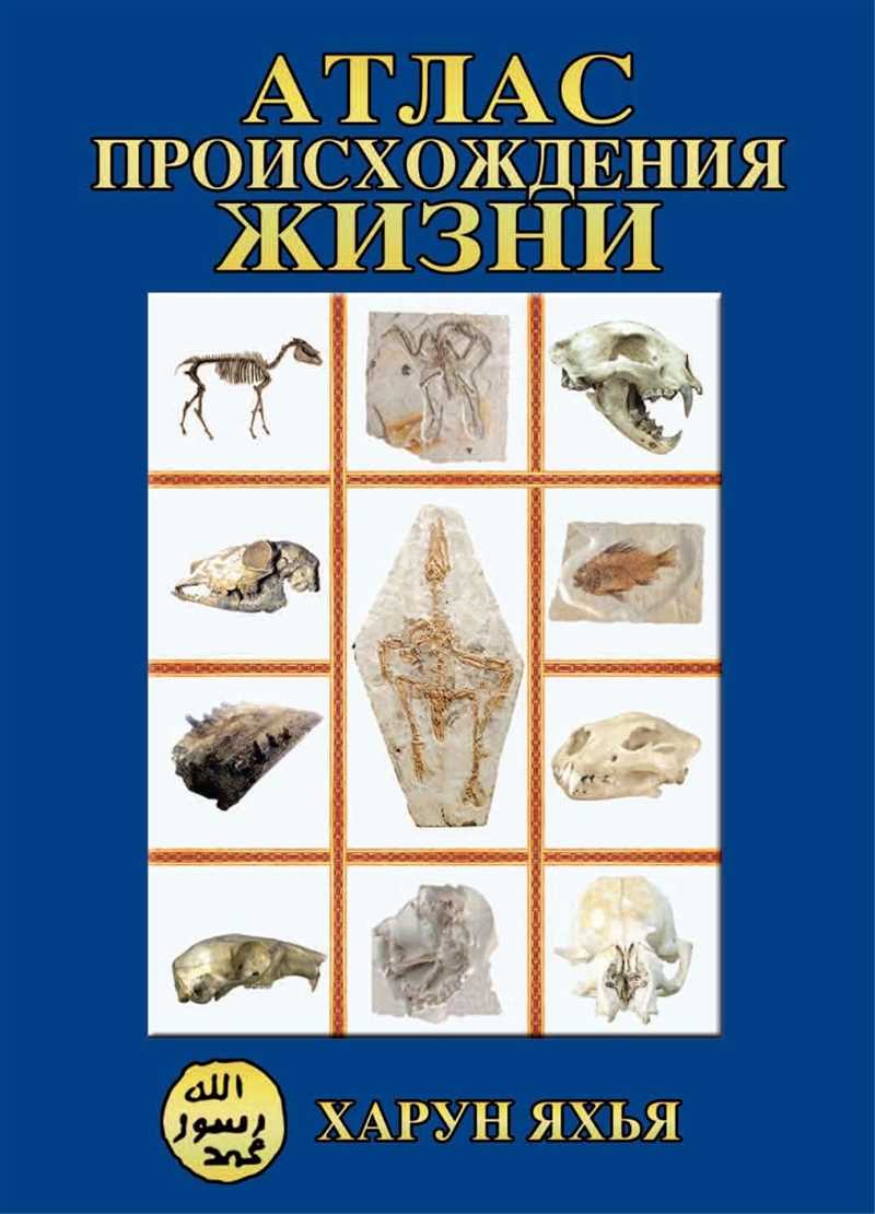 Страх, сострадание и любопытство – крючки, на которые вас ловит Служба безопасности Сбербанка (и другие)